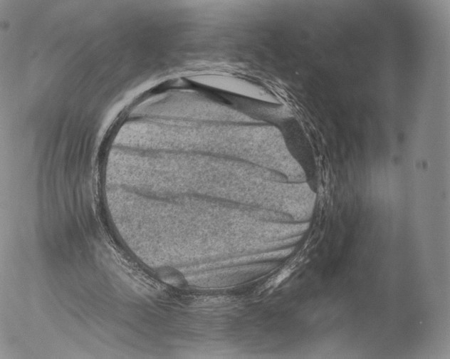 X0000053050342200508081134