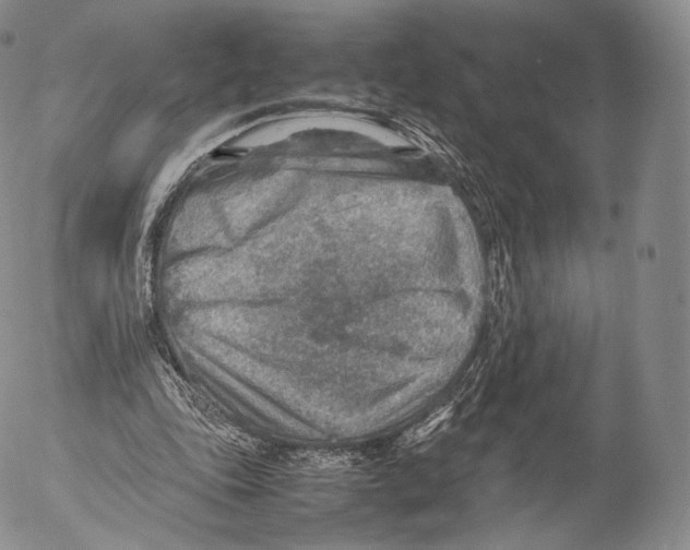 X0000053050343200508081134