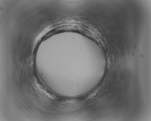 X0000053050344200508081134