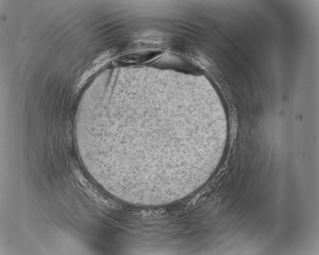 X0000053050345200508081134