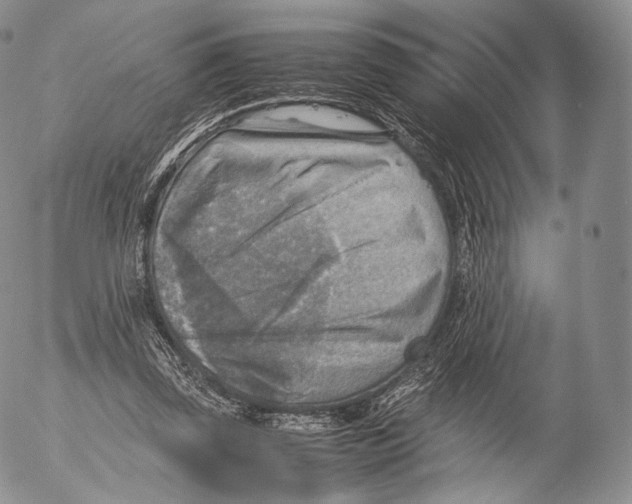 X0000053050347200508081134