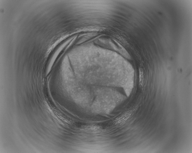 X0000053050348200508081134