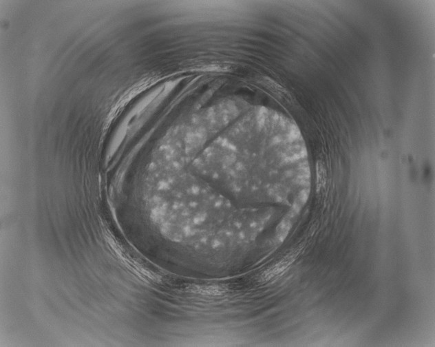 X0000053050349200508081134