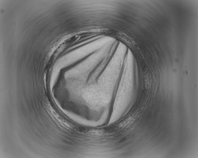 X0000053050350200508081134