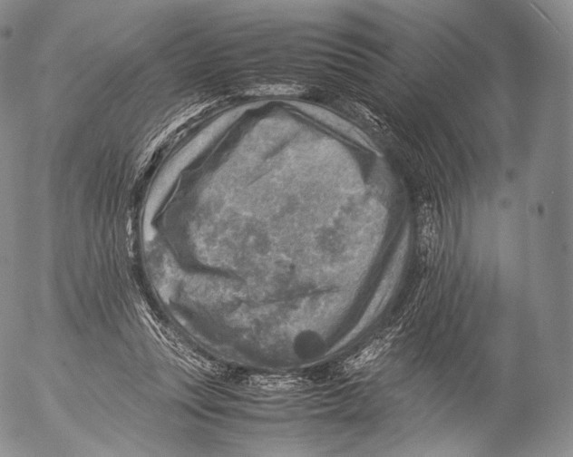 X0000053050351200508081134