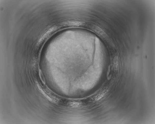 X0000053050352200508081134