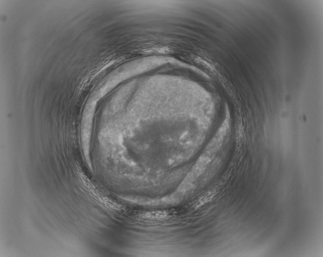 X0000053050353200508081134