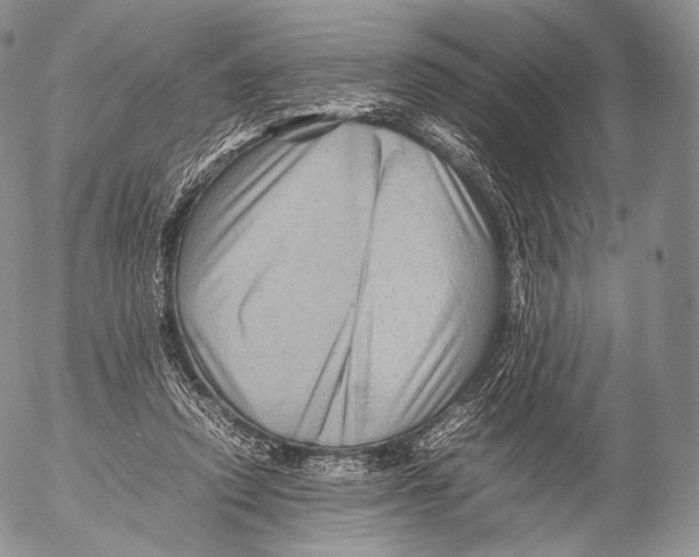 X0000053050354200508081134