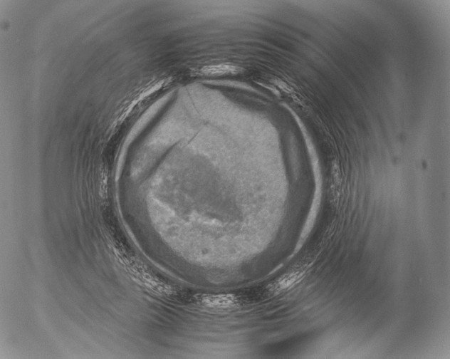 X0000053050355200508081134