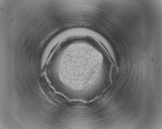 X0000053050356200508081134