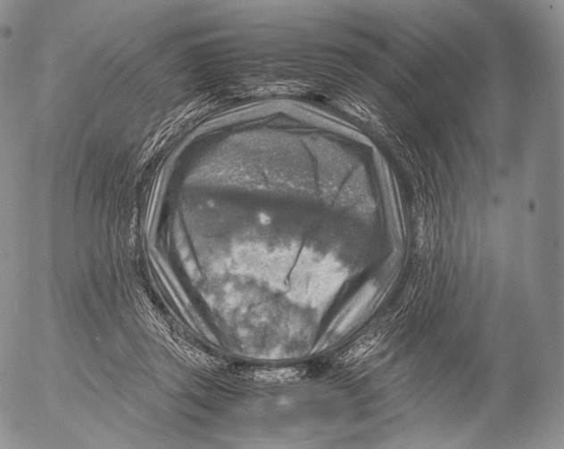 X0000053050357200508081134