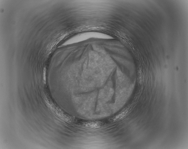 X0000053050358200508081134