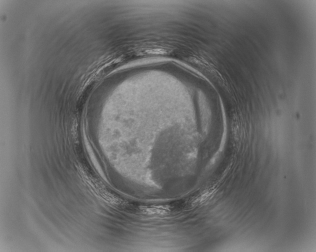 X0000053050359200508081134