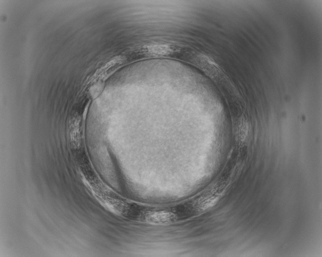 X0000053050360200508081134