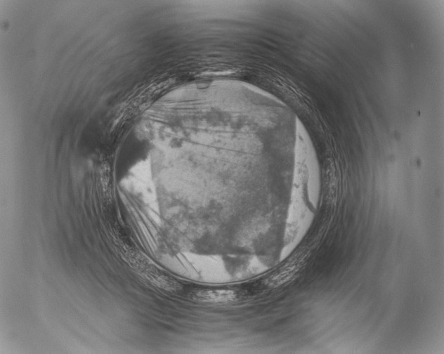 X0000053050361200508081134