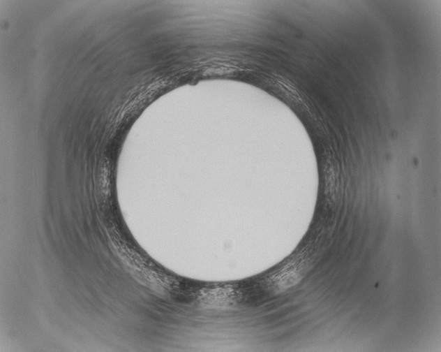 X0000053050362200508081134