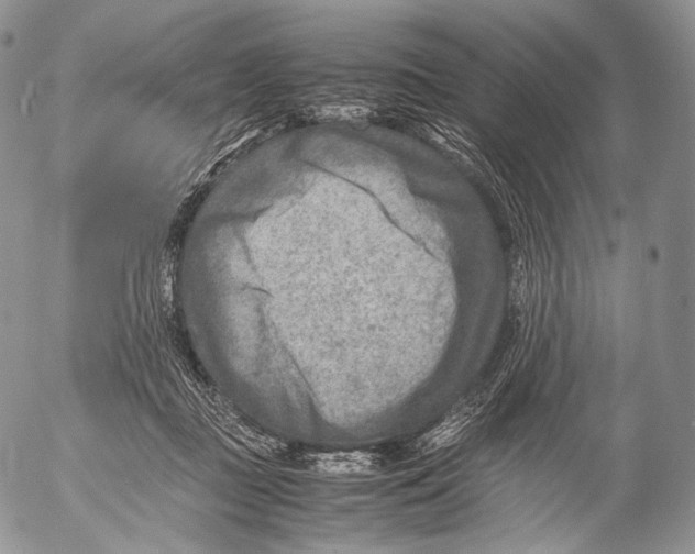 X0000053050363200508081134