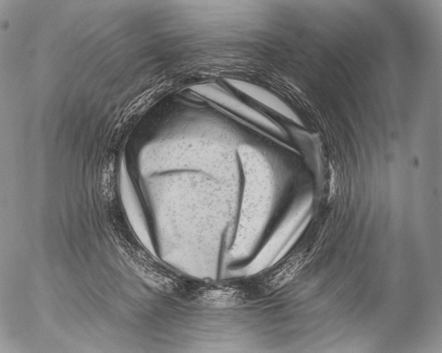 X0000053050364200508081134