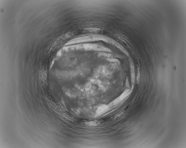 X0000053050365200508081134