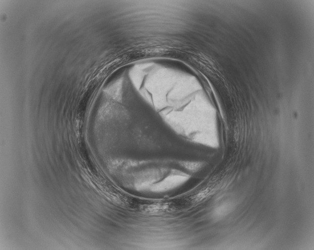 X0000053050366200508081134