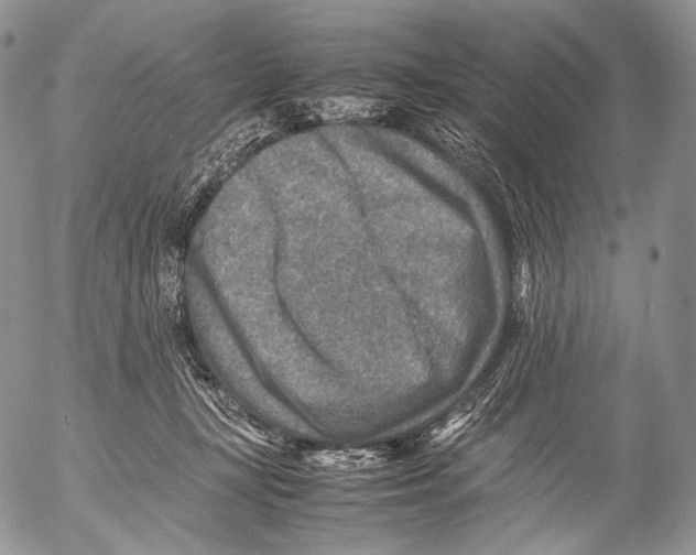 X0000053050367200508081134