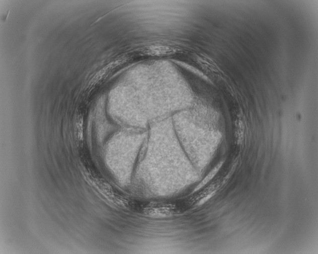 X0000053050368200508081134