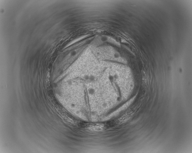 X0000053050369200508081134