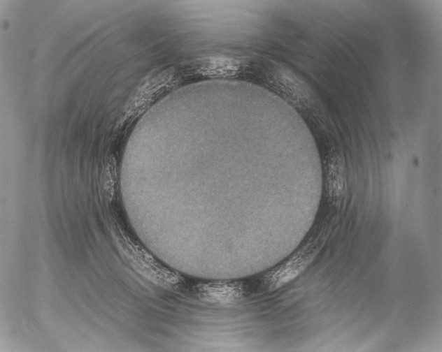 X0000053050370200508081134