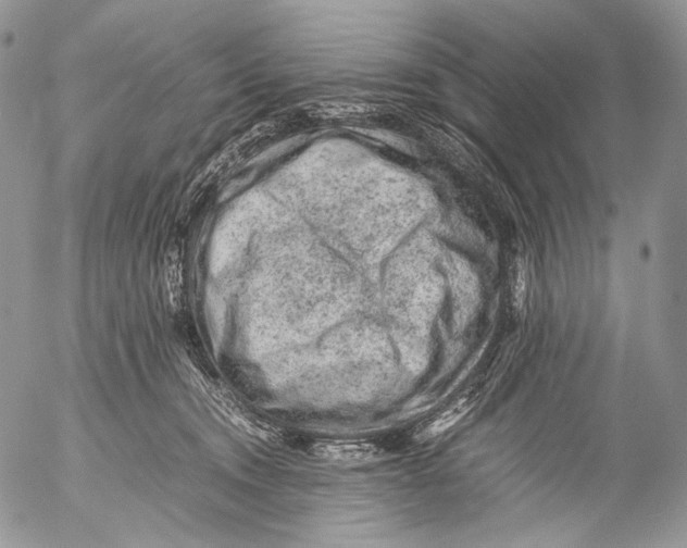 X0000053050372200508081134