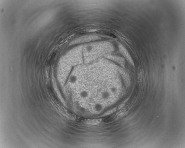 X0000053050373200508081134