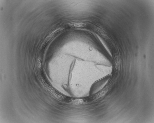 X0000053050374200508081135