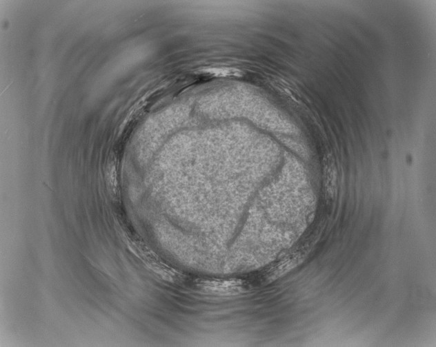 X0000053050375200508081135