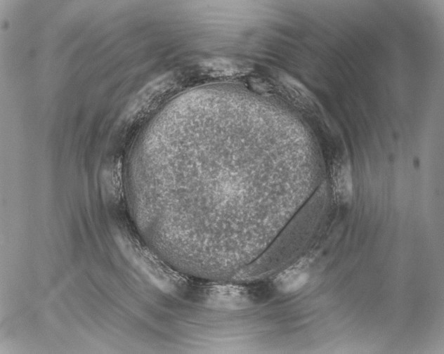 X0000053050376200508081135