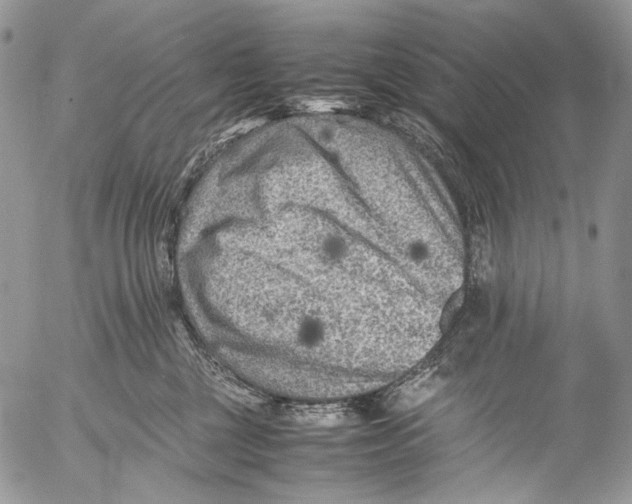 X0000053050377200508081135