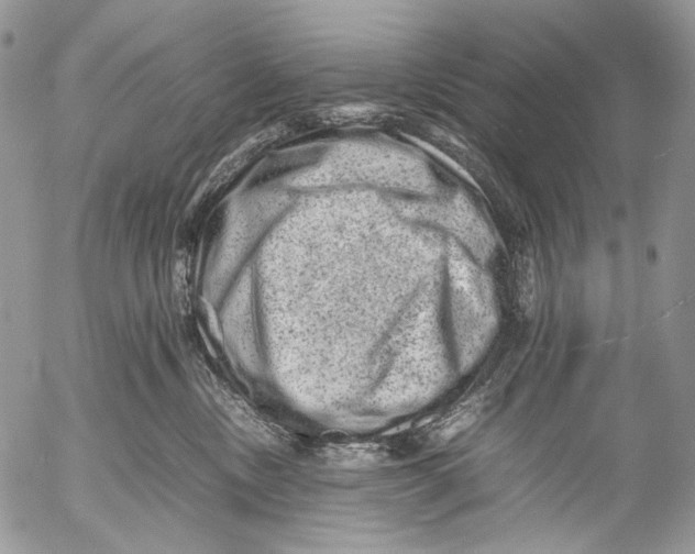 X0000053050378200508081135