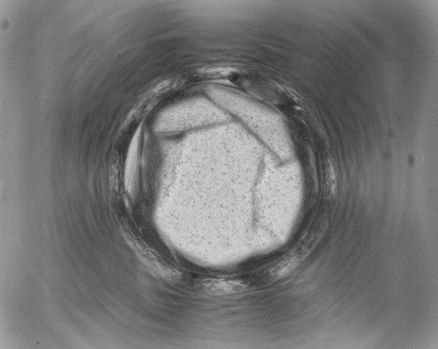 X0000053050379200508081135