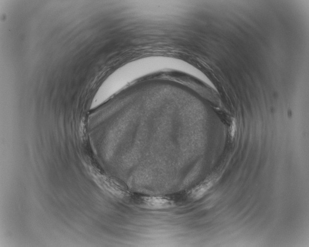 X0000053050380200508081135