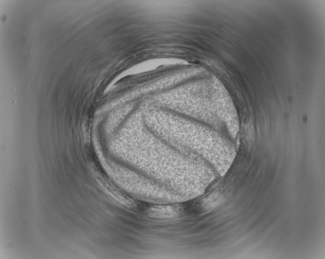 X0000053050381200508081135