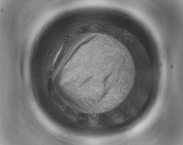 X0000053050382200508081135