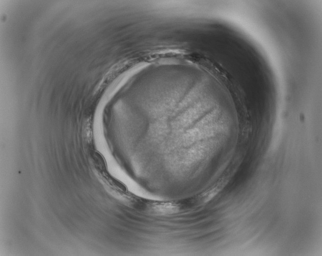 X0000053050383200508081135