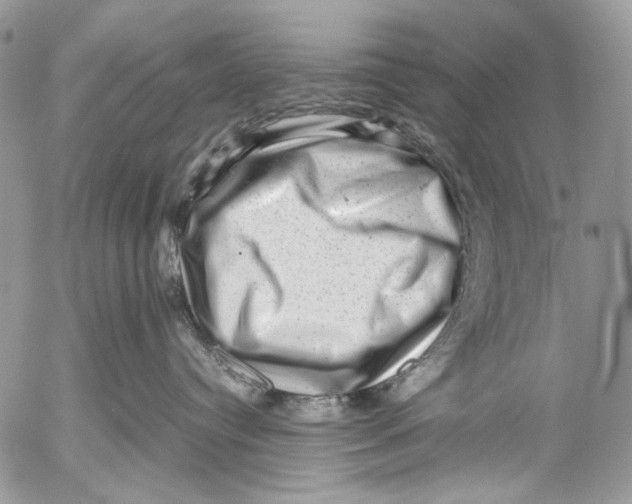 X0000053050384200508081135