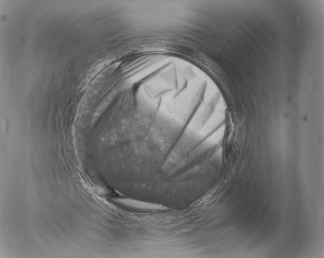 X0000053050385200508081134