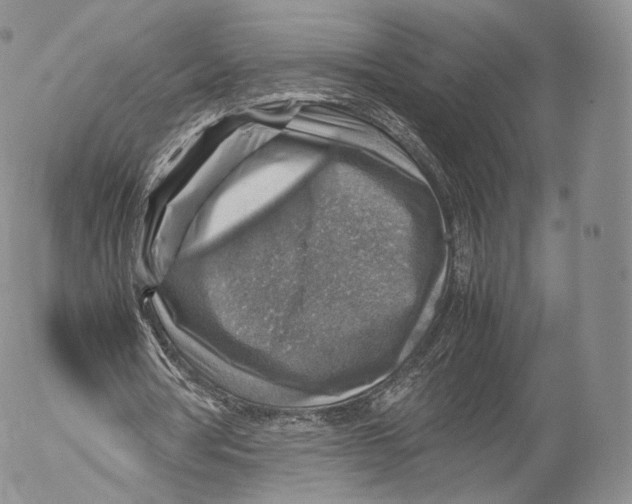 X0000053050386200508081134