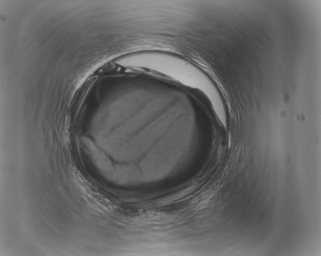 X0000053050387200508081134