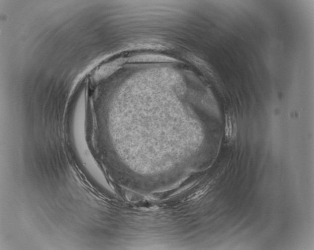 X0000053050388200508081134