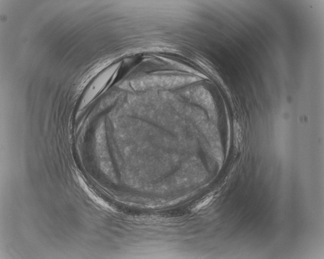 X0000053050389200508081134