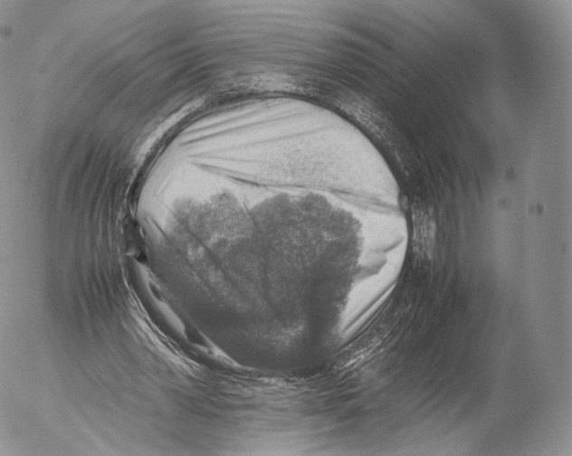 X0000053050390200508081134