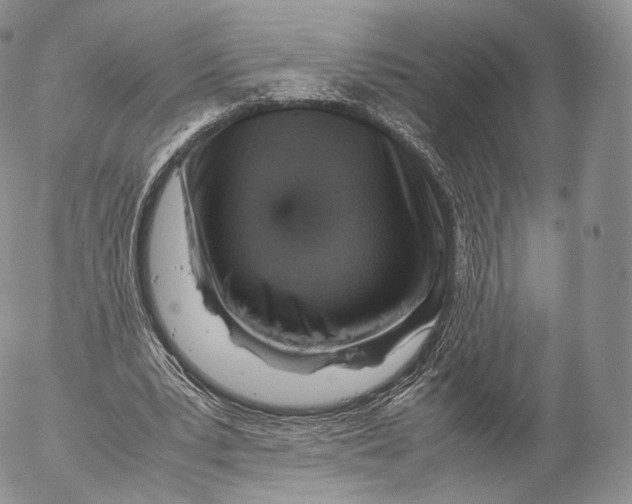 X0000053050391200508081134