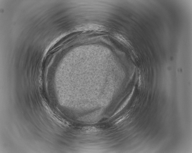 X0000053050392200508081134