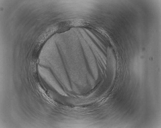 X0000053050393200508081134